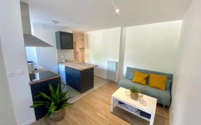 Appartement 1 Chambre
