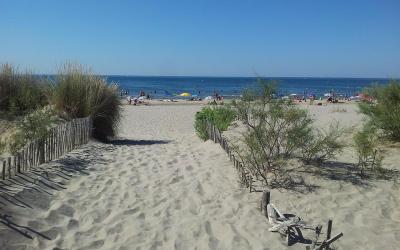 Appartement 1 Chambre