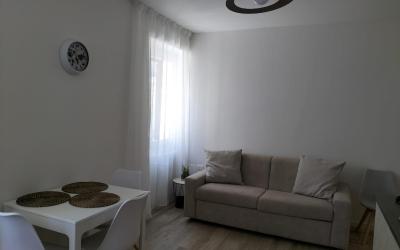 Appartamento con 1 Camera da Letto