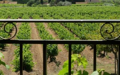 Chambre Familiale - Vue sur Jardin