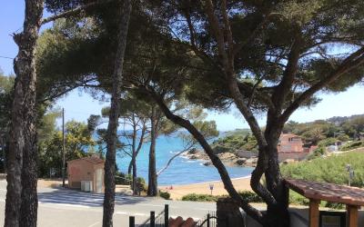 Studio - Vue sur Mer