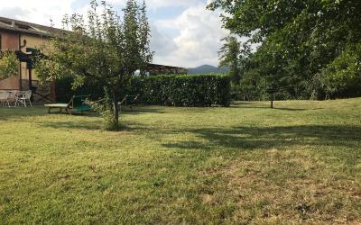 Appartamento Superior Olivastra