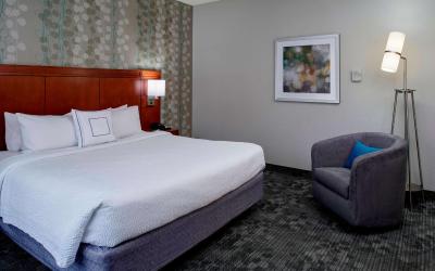 One Bedroom Suite King