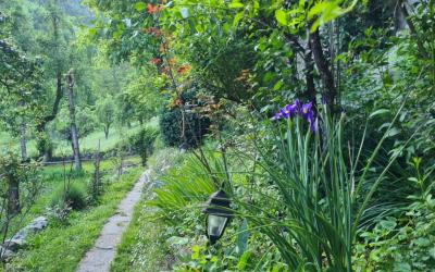 Chambre Simple Standard - Vue sur Montagne Chambre Simple Standard - Vue sur Montagne