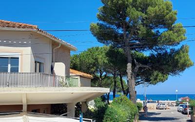 Appartement 1 Chambre