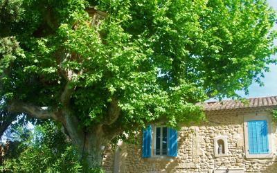 Chambre Familiale (5 Adultes)