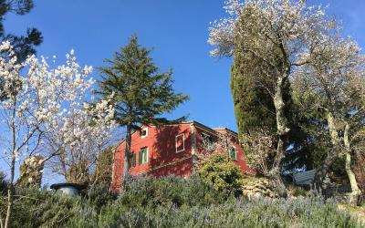 Casa con 1 Camera da Letto