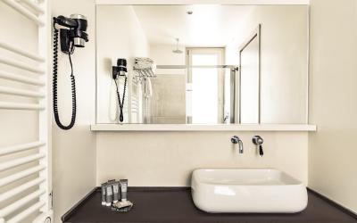 Camera Superioru00a0Matrimoniale/Doppia con Letti Singoli con Vista Giardino 