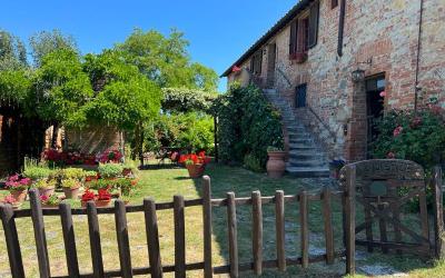 Appartamento Superior