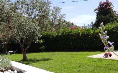 Appartamento con 1 Camera da Letto