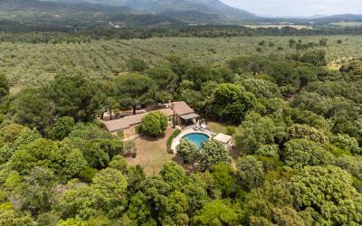 Villa avec Piscine Privu00e9e Villa avec Piscine Privu00e9e