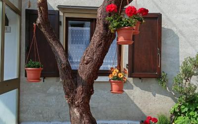 Casa con 3 Camere da Letto