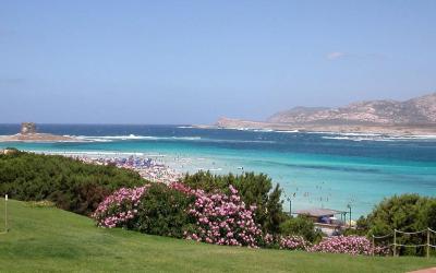 Appartamento con 1 Camera da Letto e Balcone