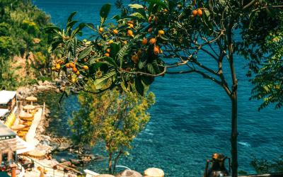 Camera King con Vista Mare 