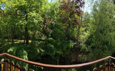 Camera Matrimoniale/Doppia con Letti Singoli con Vista Giardino