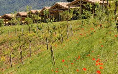 Chalet du Causse Chalet du Causse