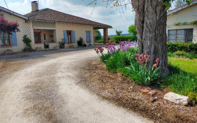 Appartement 2 Chambres
