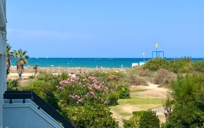 Appartement 1 Chambre