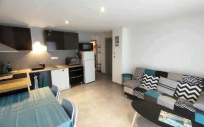 Appartement 1 Chambre