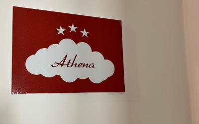 Camera King Standard