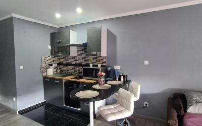 Appartement 1 Chambre Appartement 1 Chambre