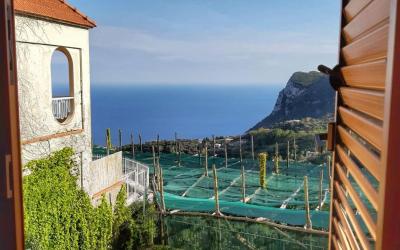 Appartamento con Vista Mare