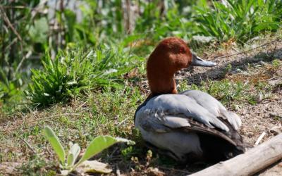 Chambre Double Deluxe Chambre Double Deluxe