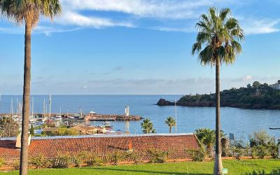 Appartement 1 Chambre