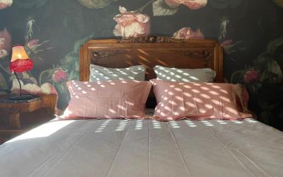 Appartement 1 Chambre Appartement 1 Chambre