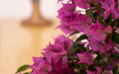 Camera Tripla con Bagno Privato