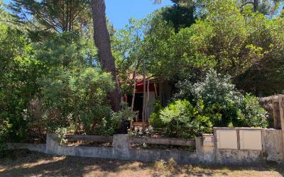 Appartement 1 Chambre Appartement 1 Chambre