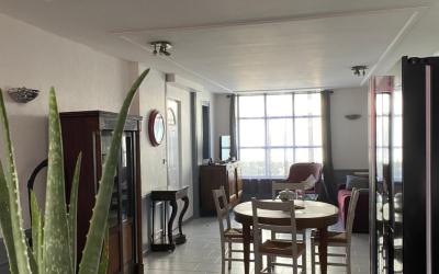 Appartement 1 Chambre
