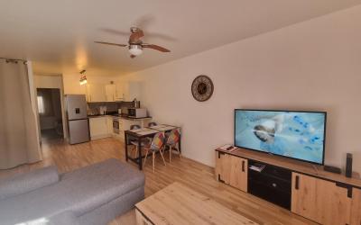 Appartement 1 Chambre