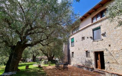 Camera Quadrupla su 2 Livelli