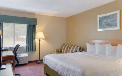 King Room - Pet-Friendly/Non-Smoking
