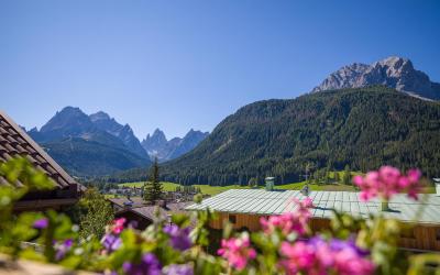 Appartamento con 1 Camera da Letto