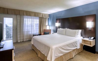 One-Bedroom King Suite with Balcony