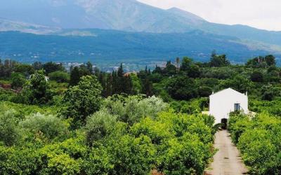 Appartamento con 2 Camere da Letto