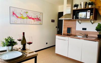 Appartement 1 Chambre