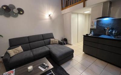 Appartement 1 Chambre