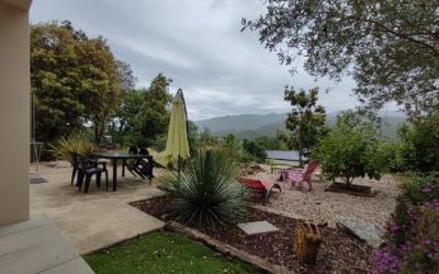 Appartement 1 Chambre Appartement 1 Chambre