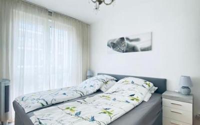 Appartement 1 Chambre Appartement 1 Chambre