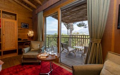 Cabane dans les Arbres
