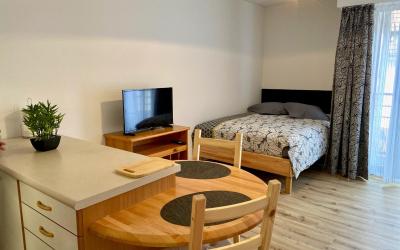 Appartement 1 Chambre