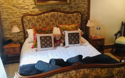 Chambre Double Deluxe avec Douche Chambre Double Deluxe avec Douche