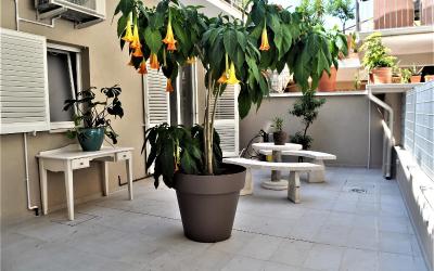 Suite Familiare Deluxe