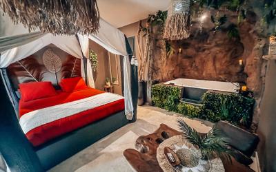 Appartement 1 Chambre - Vue sur Jardin