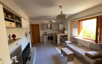 Appartamento con 1 Camera da Letto