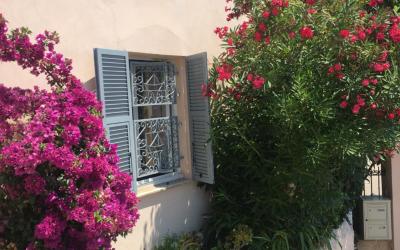 Appartement - Vue sur Mer Appartement - Vue sur Mer