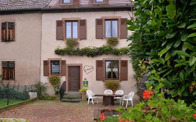 Appartement 1 Chambre